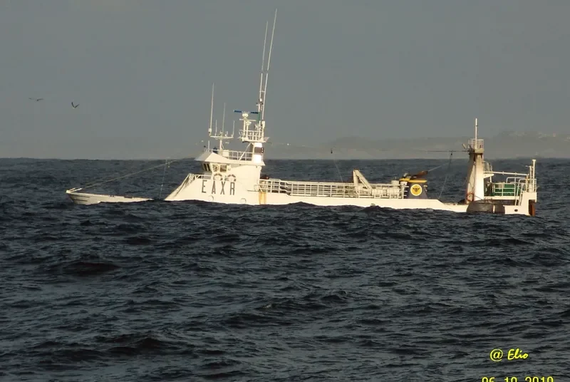 PESCABERBES TRES General Cargo IMO 9212591 photo 10
