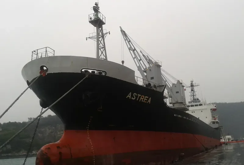 PROTEAS II General Cargo IMO 9212620 photo 3