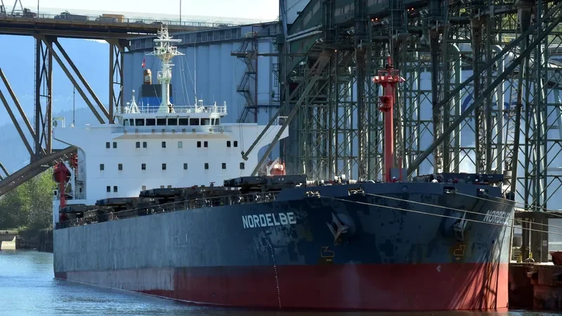 SHAIL AL KHOR Bulk Carrier IMO 9212694 photo 2