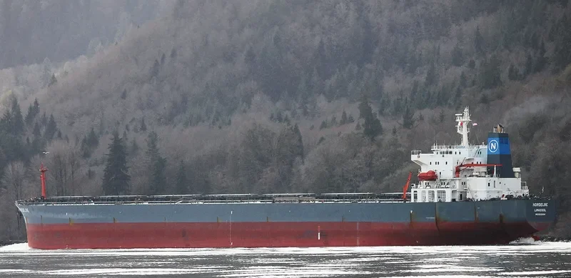 SHAIL AL KHOR Bulk Carrier IMO 9212694 photo 7