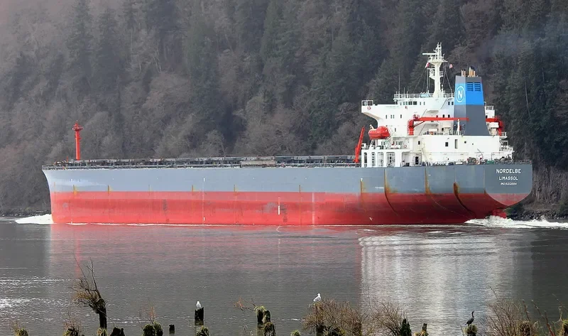 SHAIL AL KHOR Bulk Carrier IMO 9212694 photo 8