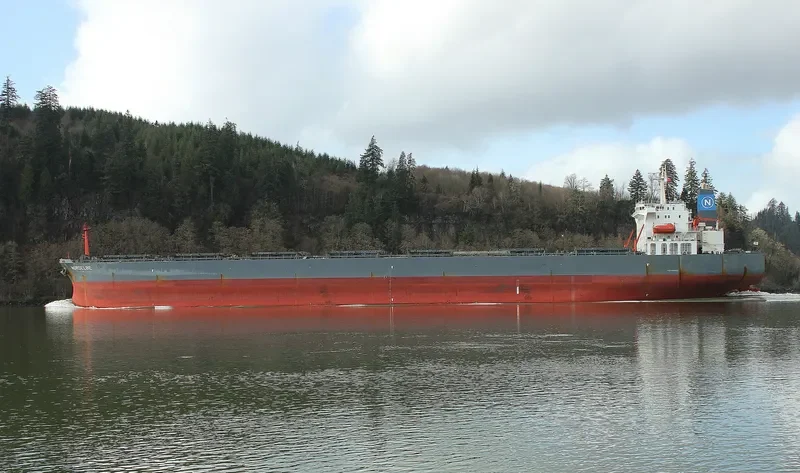 SHAIL AL KHOR Bulk Carrier IMO 9212694 photo 9