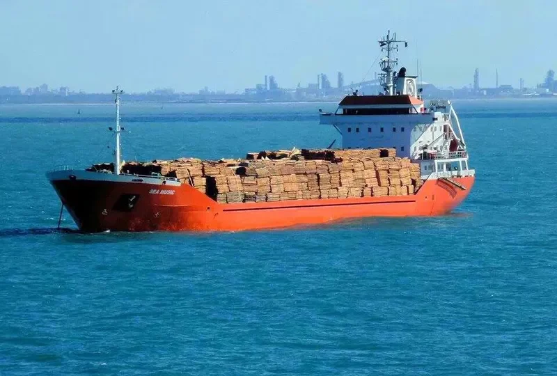 SEA MUSIC General Cargo IMO 9212773 photo 5