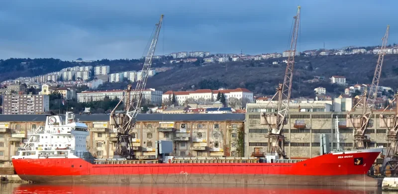 SEA MUSIC General Cargo IMO 9212773 photo 10