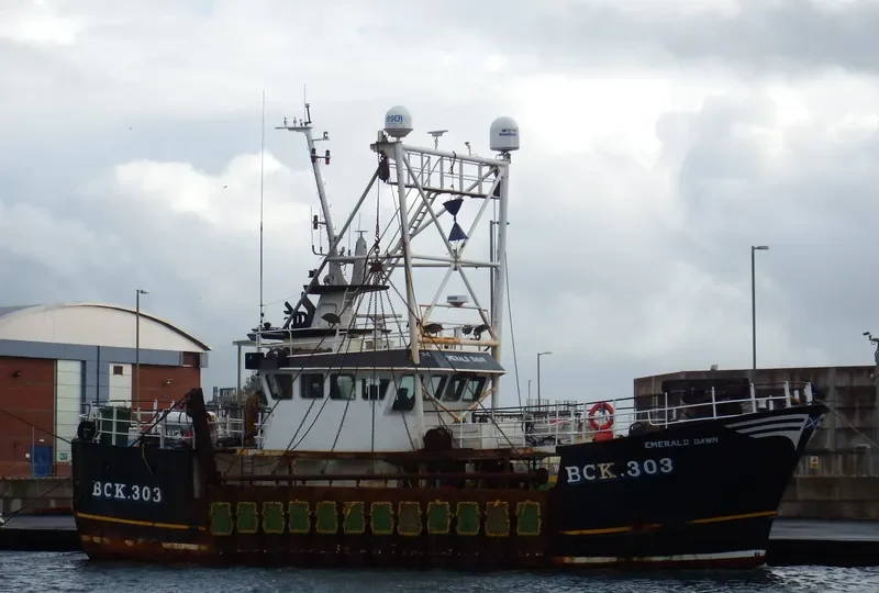 EMERALD DAWN BCK303 General Cargo IMO 9213076 photo 4