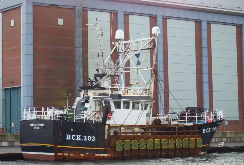 EMERALD DAWN BCK303 General Cargo IMO 9213076 photo 5