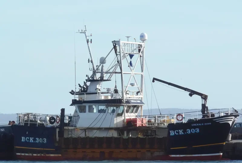 EMERALD DAWN BCK303 General Cargo IMO 9213076 photo 10