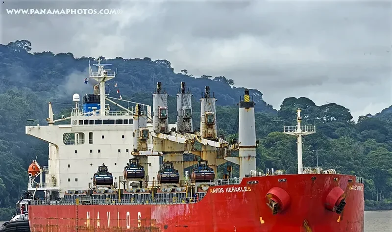 FENG QI FA ZHAN Bulk Carrier IMO 9213143 photo 4