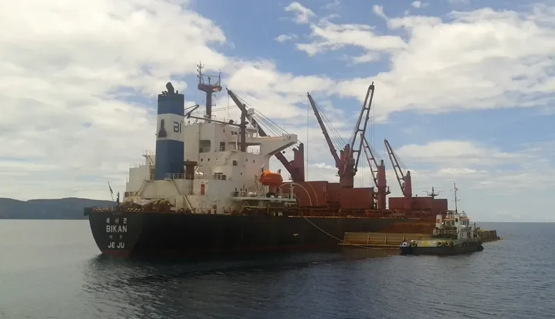 MAA SALEHA BEGUM Bulk Carrier IMO 9213155