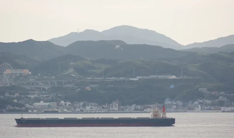 TACHIBANA Bulk Carrier IMO 9213167