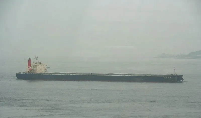 TACHIBANA Bulk Carrier IMO 9213167 photo 2