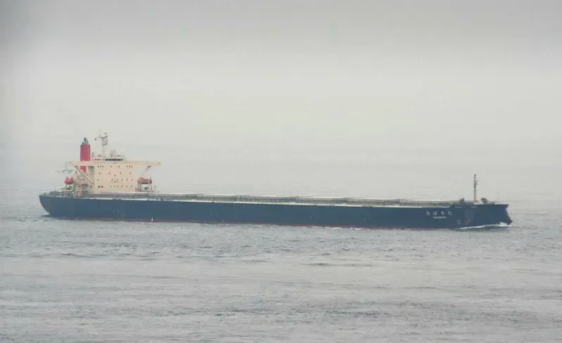 TACHIBANA Bulk Carrier IMO 9213167 photo 3