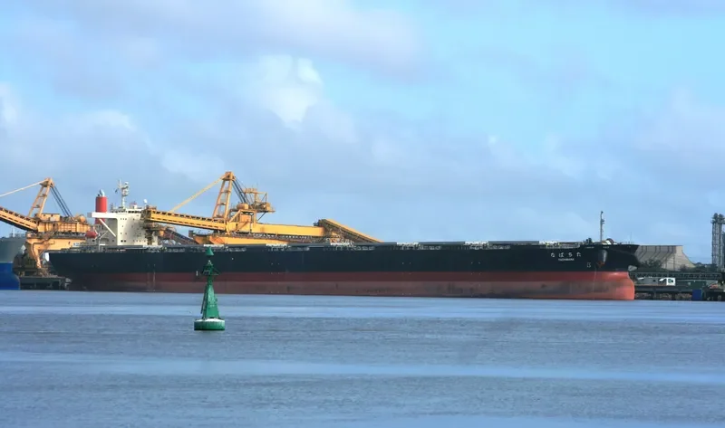 TACHIBANA Bulk Carrier IMO 9213167 photo 4