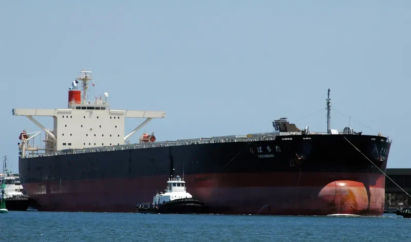 TACHIBANA Bulk Carrier IMO 9213167 photo 7