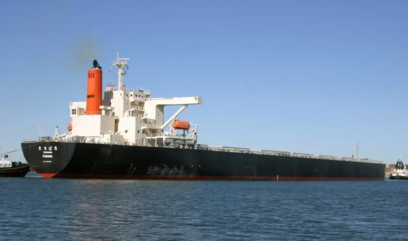 TACHIBANA Bulk Carrier IMO 9213167 photo 8