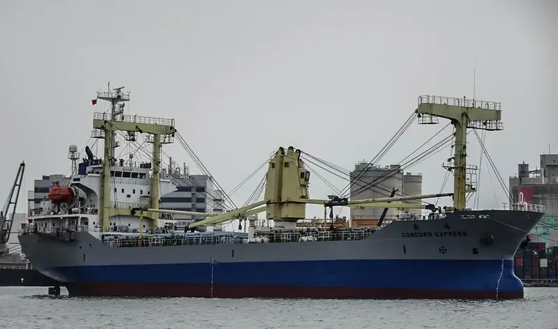 DEFENDER General Cargo IMO 9213210 photo 2