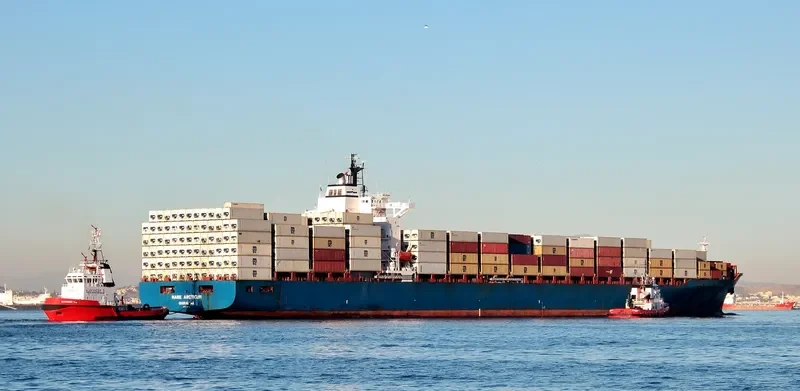 MARE ARCTICUM Container Ship IMO 9213284 photo 6