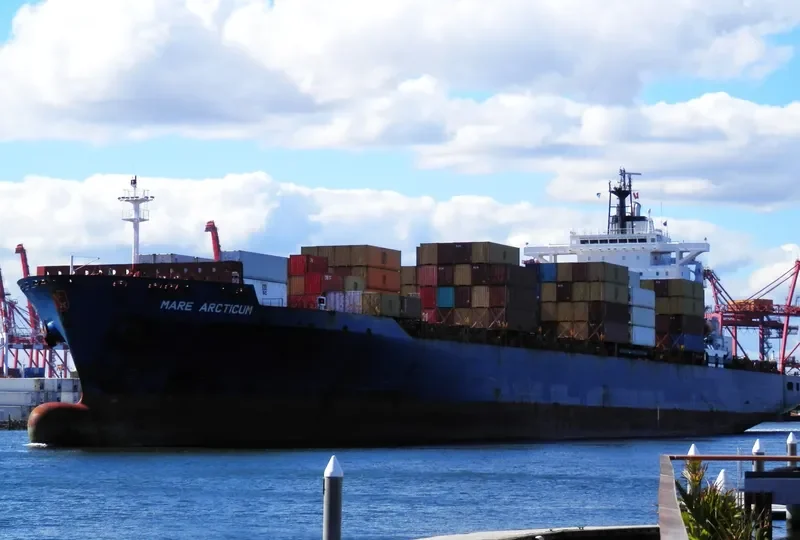 MARE ARCTICUM Container Ship IMO 9213284 photo 9