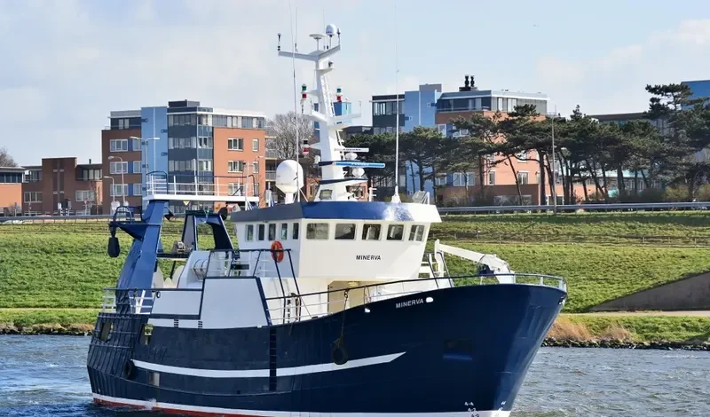 MINERVA General Cargo IMO 9213349