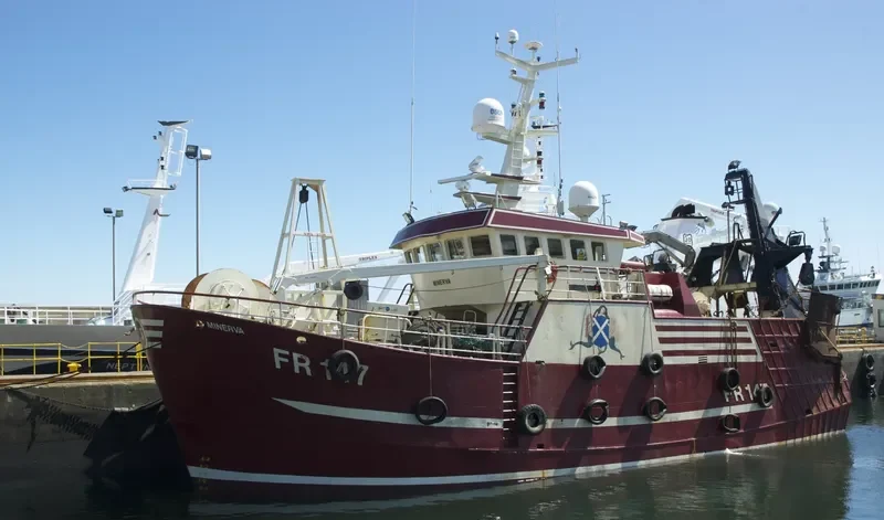 MINERVA General Cargo IMO 9213349 photo 6