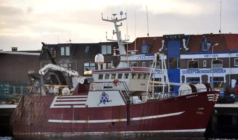 MINERVA General Cargo IMO 9213349 photo 7