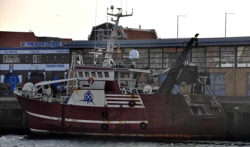 MINERVA General Cargo IMO 9213349 photo 8