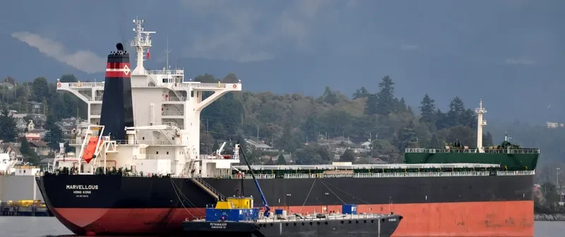 MARVELLOUS Bulk Carrier IMO 9213375