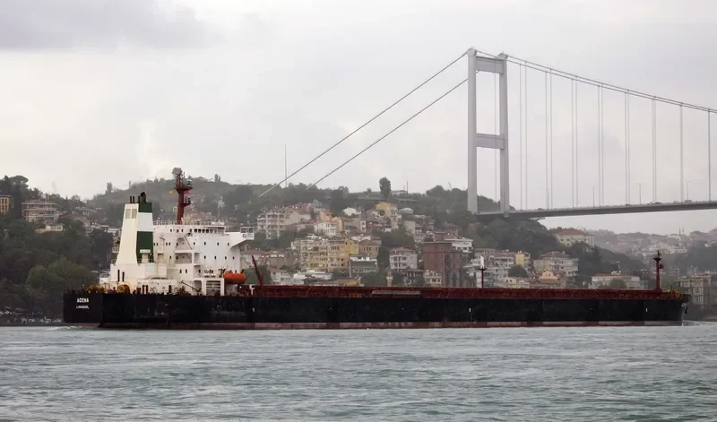TERMEH Bulk Carrier IMO 9213399 photo 3