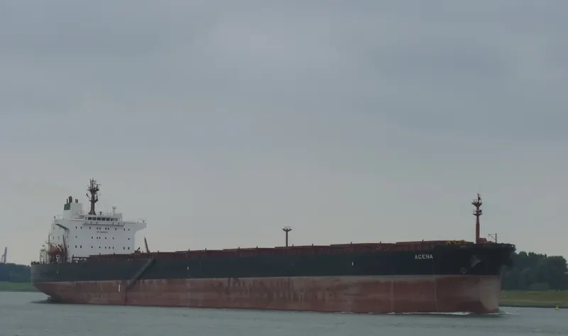TERMEH Bulk Carrier IMO 9213399 photo 5