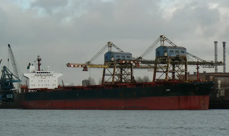 TERMEH Bulk Carrier IMO 9213399 photo 6
