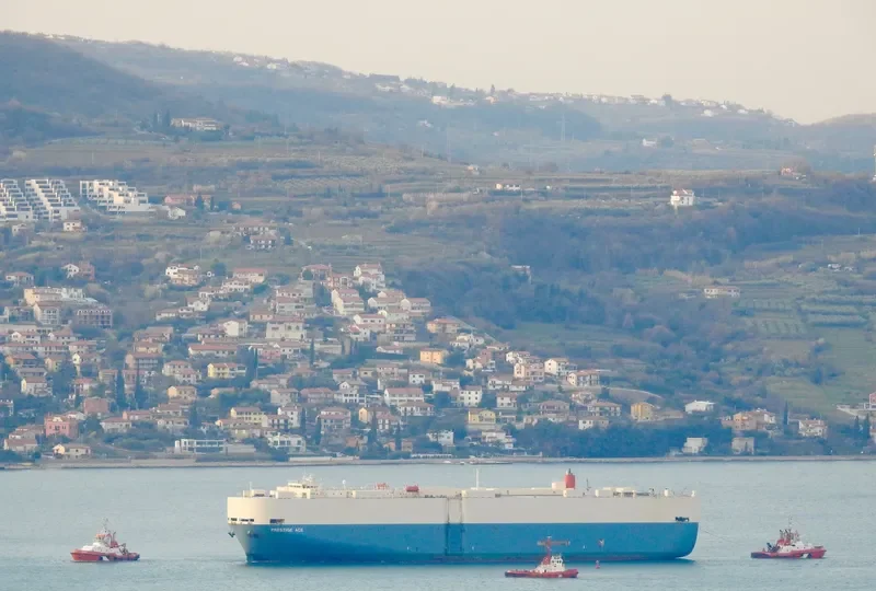 PRESTIGE ACE General Cargo IMO 9213454 photo 4