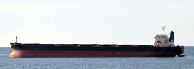 GREAT WISDOM Bulk Carrier IMO 9213545