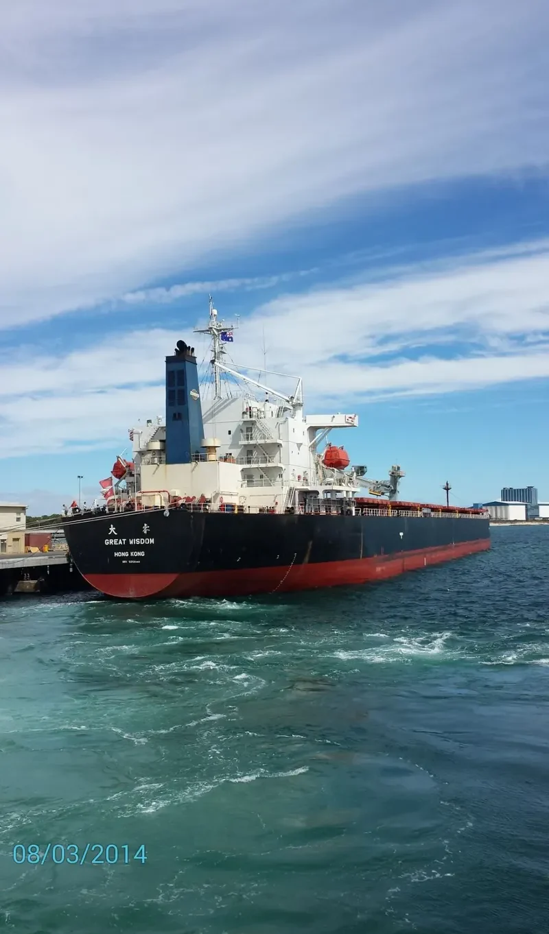 GREAT WISDOM Bulk Carrier IMO 9213545 photo 2