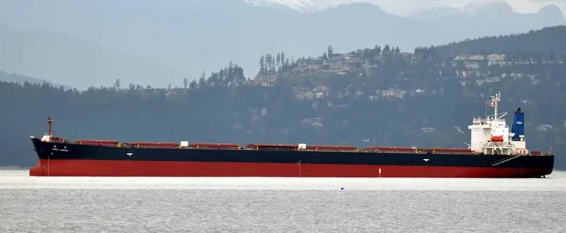 GREAT WISDOM Bulk Carrier IMO 9213545 photo 6