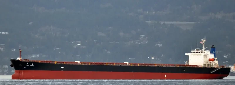 GREAT WISDOM Bulk Carrier IMO 9213545 photo 7