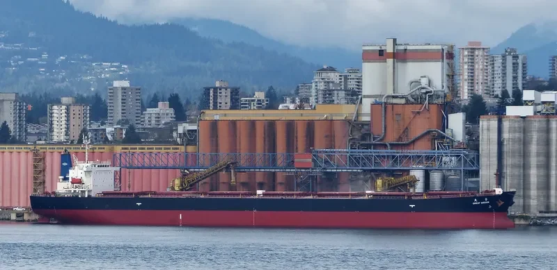 GREAT WISDOM Bulk Carrier IMO 9213545 photo 8