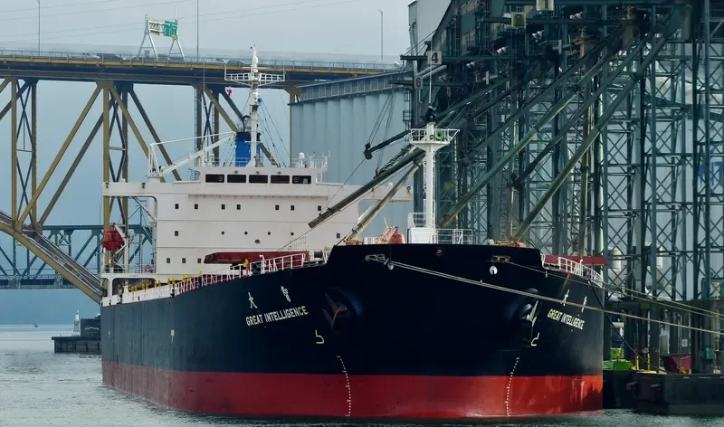 GREAT INTELLIGENCE Bulk Carrier IMO 9213557 photo 2