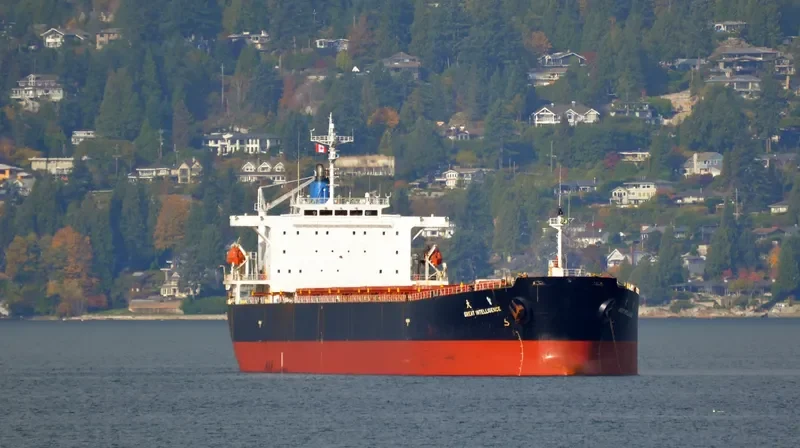 GREAT INTELLIGENCE Bulk Carrier IMO 9213557 photo 4