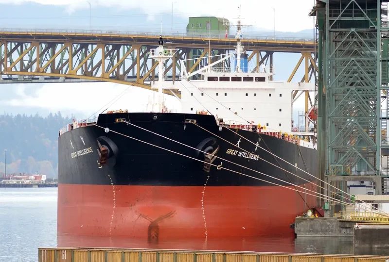 GREAT INTELLIGENCE Bulk Carrier IMO 9213557 photo 7