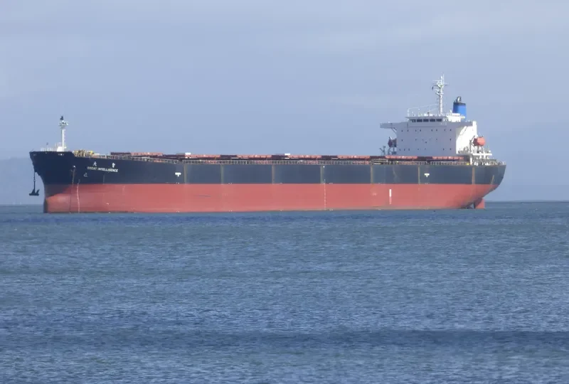 GREAT INTELLIGENCE Bulk Carrier IMO 9213557 photo 8