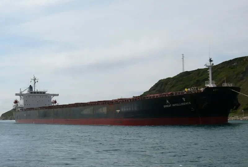 GREAT INTELLIGENCE Bulk Carrier IMO 9213557 photo 10