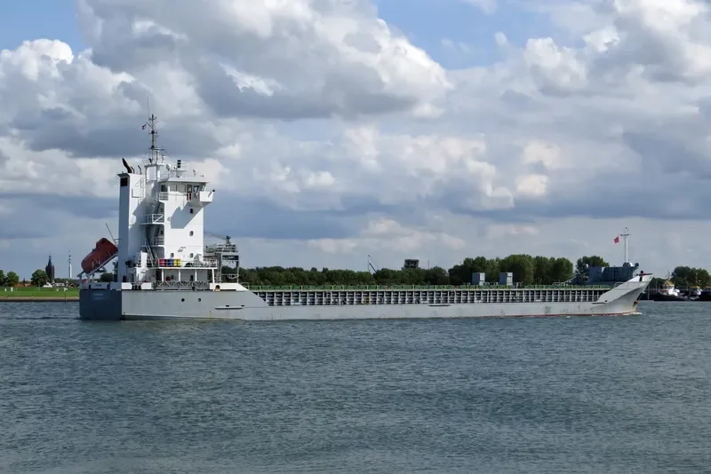 LONGDUIN Container Ship IMO 9213882 photo 3
