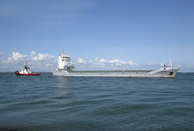 LONGDUIN Container Ship IMO 9213882 photo 4