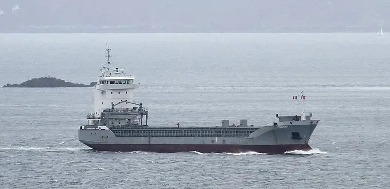 LONGDUIN Container Ship IMO 9213882 photo 9