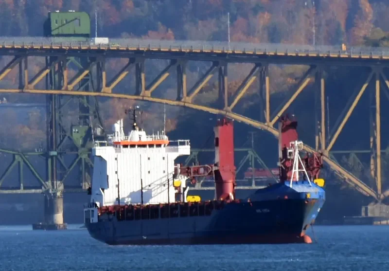BBC URSA General Cargo IMO 9213961