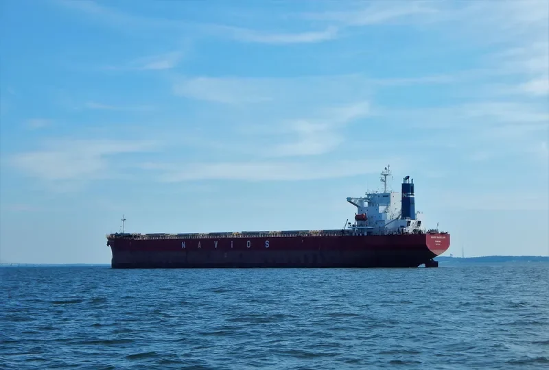 FLYING LOONG Bulk Carrier IMO 9214068
