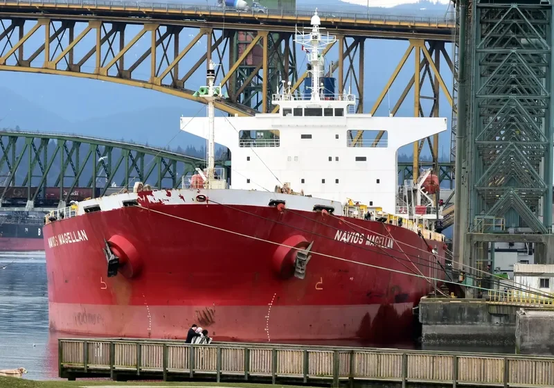 FLYING LOONG Bulk Carrier IMO 9214068 photo 7