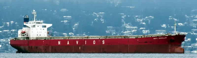 FLYING LOONG Bulk Carrier IMO 9214068 photo 8