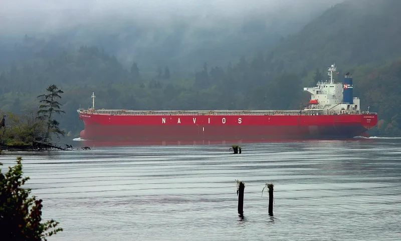 FLYING LOONG Bulk Carrier IMO 9214068 photo 9
