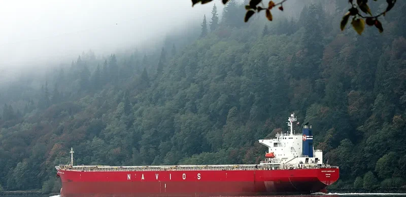 FLYING LOONG Bulk Carrier IMO 9214068 photo 10